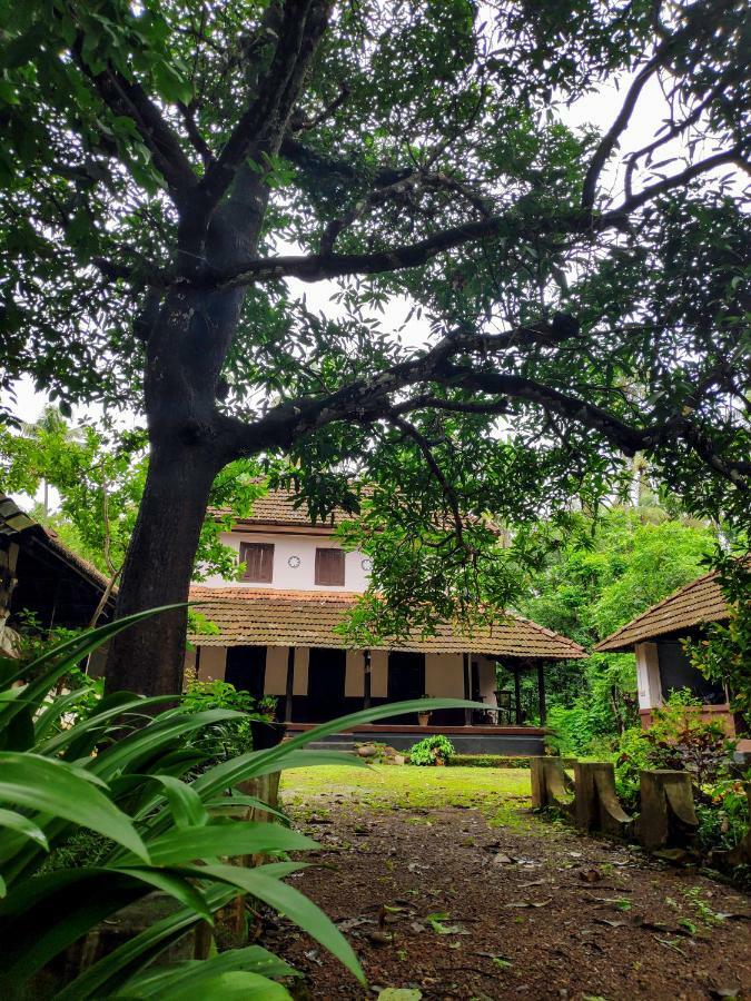 Meadows Villa Thrissur Екстериор снимка
